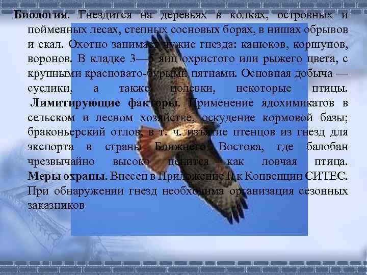 Биология. Гнездится на деревьях в колках, островных и пойменных лесах, степных сосновых борах, в