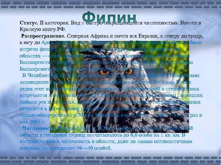 Статус. II категория. Вид с быстро сокращающейся численностью. Внесен в Красную книгу РФ. Распространение.