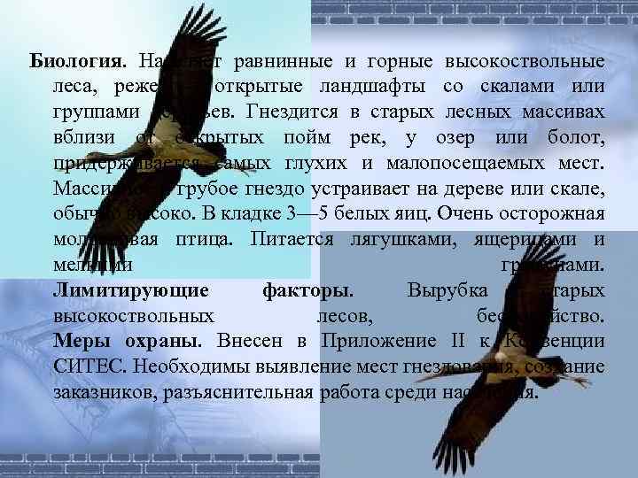 Биология. Населяет равнинные и горные высокоствольные леса, реже — открытые ландшафты со скалами или