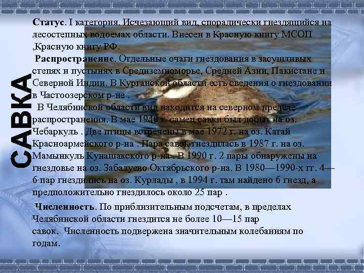 Статус. I категория. Исчезающий вид, спорадически гнездящийся на лесостепных водоемах области. Внесен в Красную