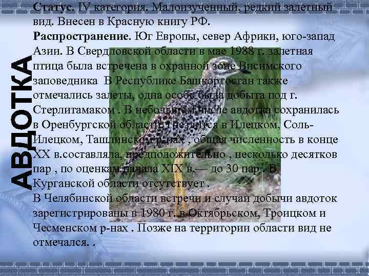 Статус. IV категория. Малоизученный, редкий залетный вид. Внесен в Красную книгу РФ. Распространение. Юг