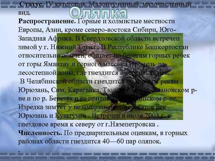  Статус. IV категория. Малоизученный, малочисленный Оляпка вид. Распространение. Горные и холмистые местности Европы,