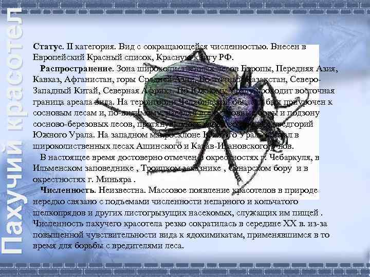 Жук красотел природная зона. Красотел пахучий где обитает. Красотел пахучий красная книга. Красотел пахучий красная книга краткое описание. Красотел пахучий из красной книги описание.