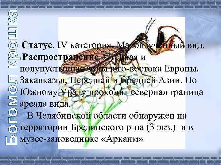 Богомол крошка Статус. IV категория. Малоизученный вид. Распространение. Степная и полупустынная зоны юго-востока Европы,