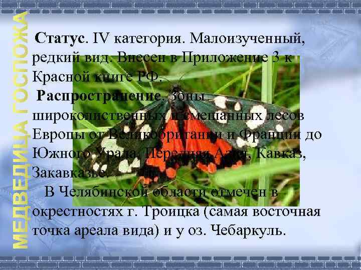 Статус. IV категория. Малоизученный, редкий вид. Внесен в Приложение 3 к Красной книге РФ.