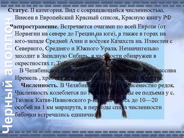 Черный аполлон Статус. II категория. Вид с сокращающейся численностью. Внесен в Европейский Красный список,