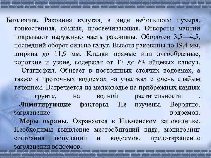 Биология. Раковина вздутая, в виде небольшого пузыря, тонкостенная, ломкая, просвечивающая. Отвороты мантии покрывают наружную