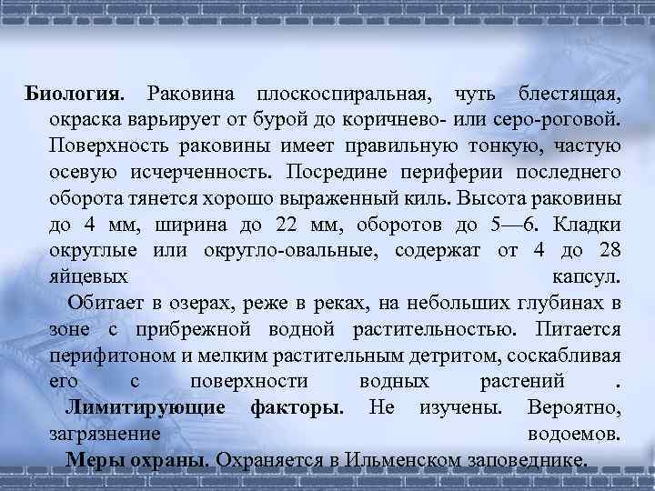 Биология. Раковина плоскоспиральная, чуть блестящая, окраска варьирует от бурой до коричнево- или серо-роговой. Поверхность