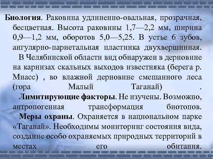 Биология. Раковина удлиненно-овальная, прозрачная, бесцветная. Высота раковины 1, 7— 2, 2 мм, ширина 0,