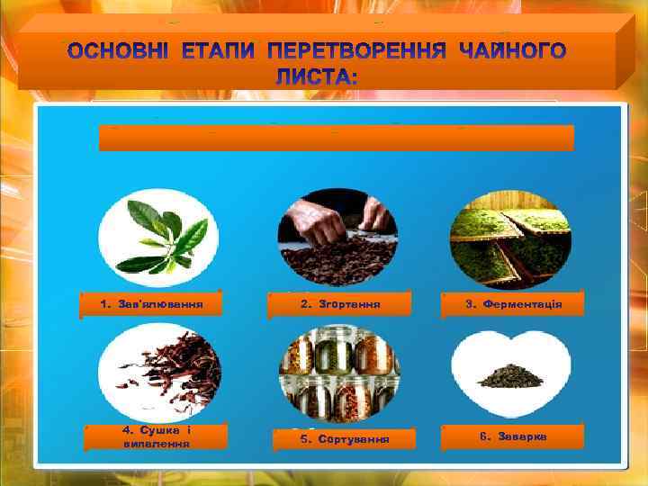 1. Зав'ялювання 4. Сушка і випалення 2. Згортання 5. Сортування 3. Ферментація 6. Заварка