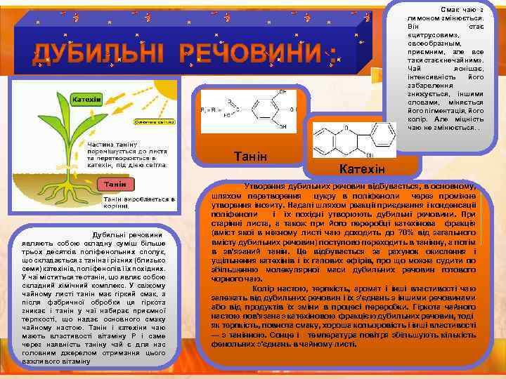  Смак чаю з лимоном змінюється. Він стає «цитрусовим» , своеобразным, приємним, але все