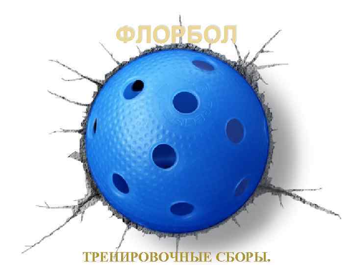 ФЛОРБОЛ ТРЕНИРОВОЧНЫЕ СБОРЫ. 