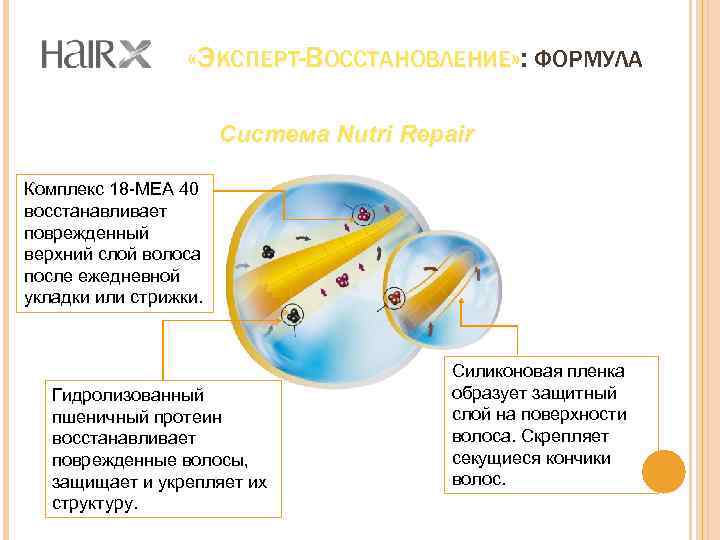  «ЭКСПЕРТ-ВОССТАНОВЛЕНИЕ» : ФОРМУЛА » Система Nutri Repair Комплекс 18 -MEA 40 восстанавливает поврежденный