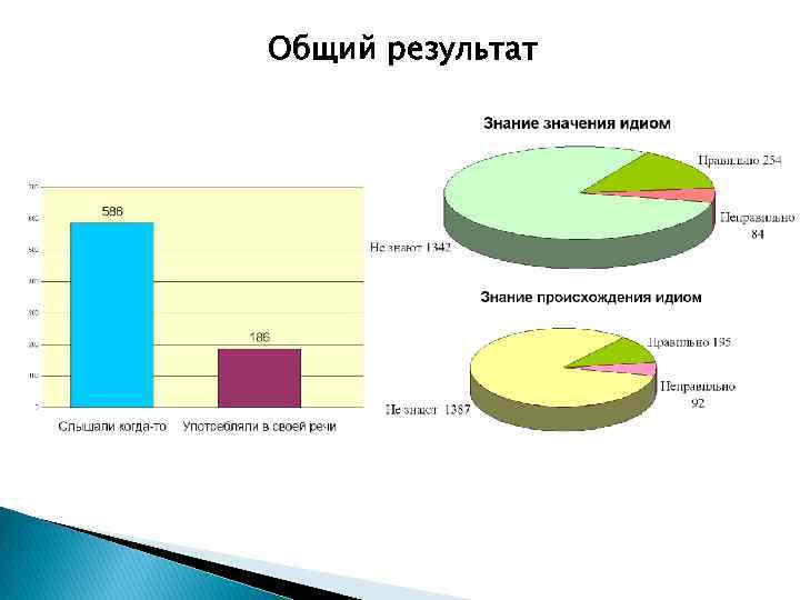 Общий результат 