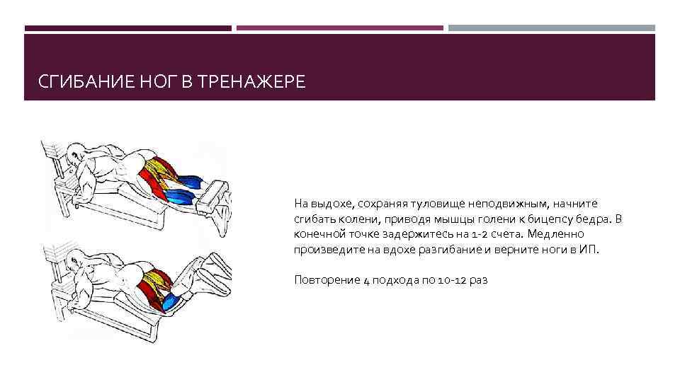 СГИБАНИЕ НОГ В ТРЕНАЖЕРЕ На выдохе, сохраняя туловище неподвижным, начните сгибать колени, приводя мышцы