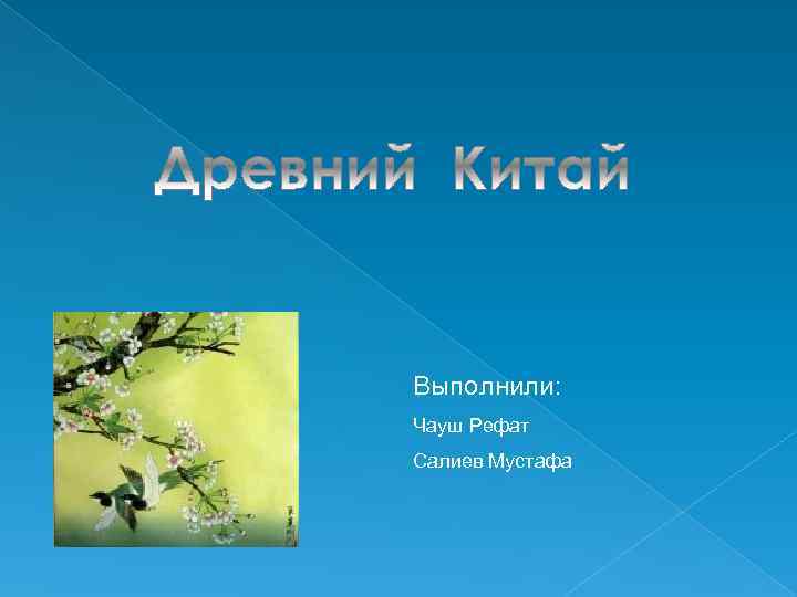 Выполнили: Чауш Рефат Салиев Мустафа 