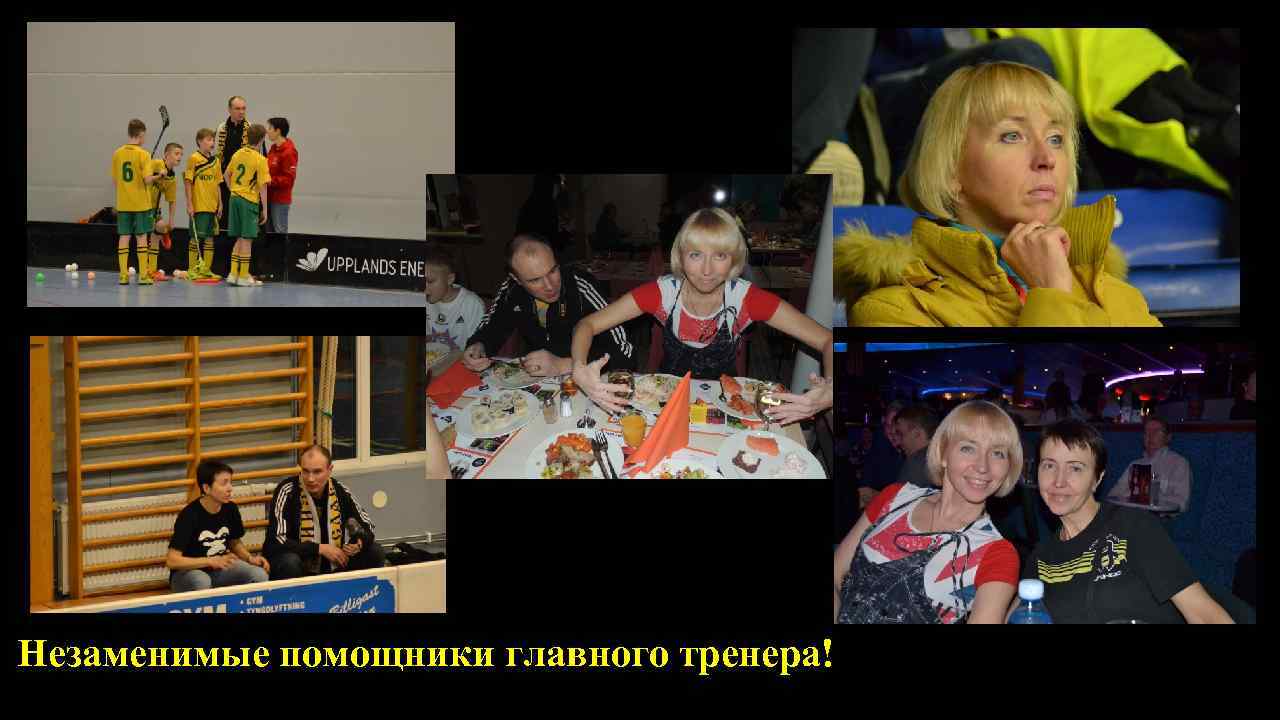  Незаменимые помощники главного тренера! 