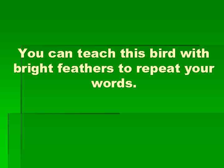 You can teach this bird with bright feathers to repeat your words. 