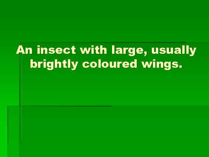 An insect with large, usually brightly coloured wings. 