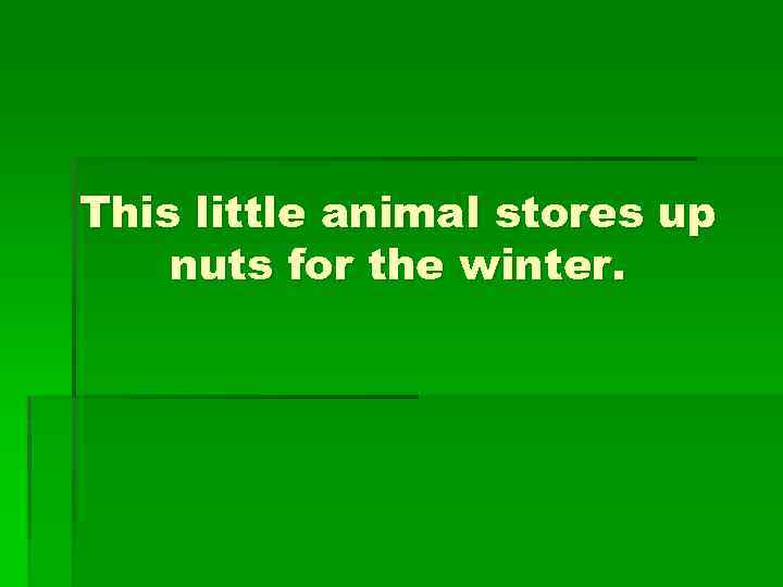 This little animal stores up nuts for the winter. 