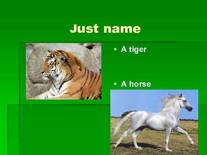 Just name § A tiger § A horse 