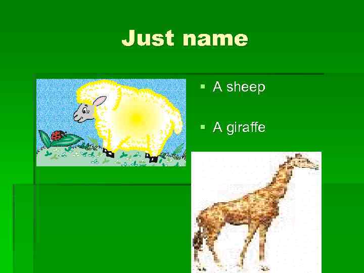 Just name § A sheep § A giraffe 