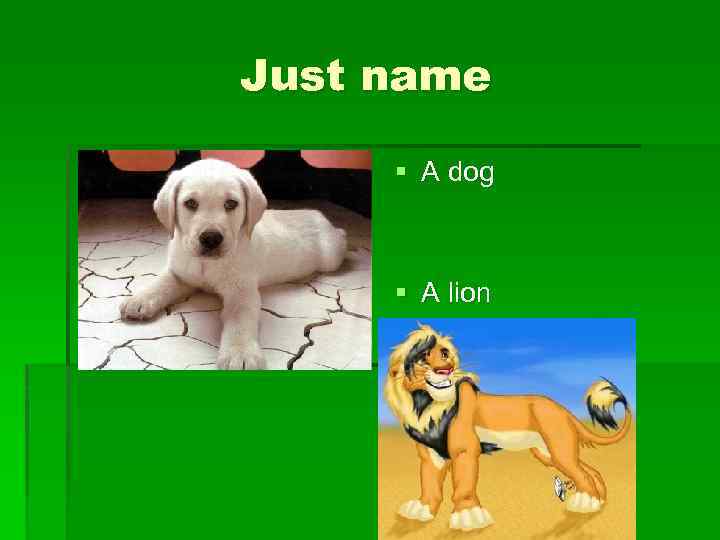 Just name § A dog § A lion 