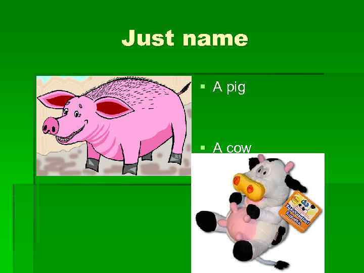 Just name § A pig § A cow 