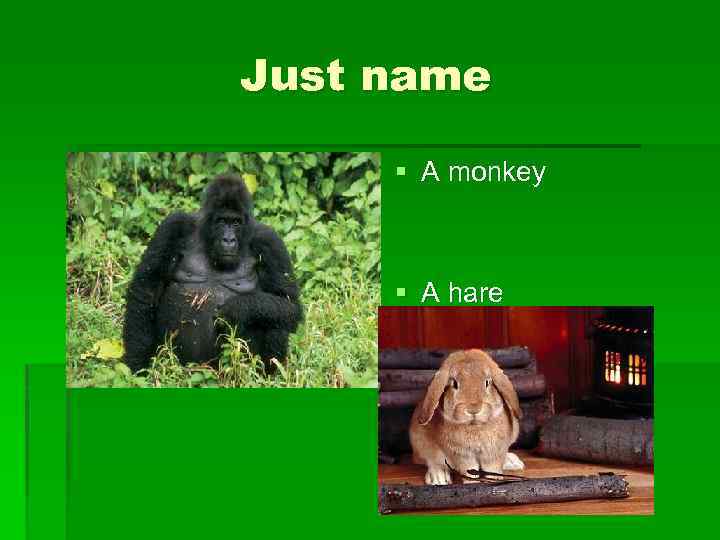 Just name § A monkey § A hare 