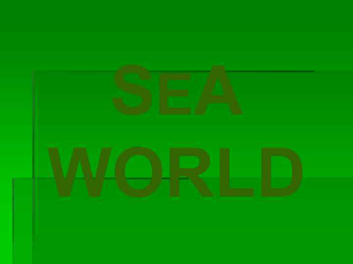 SEA WORLD 
