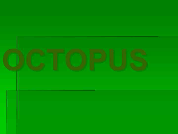 OCTOPUS 