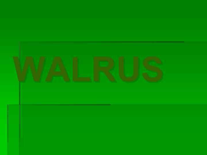 WALRUS 