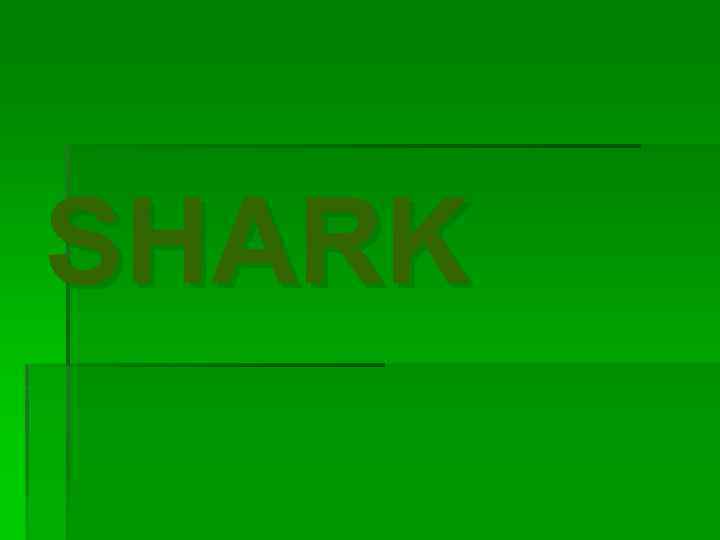SHARK 