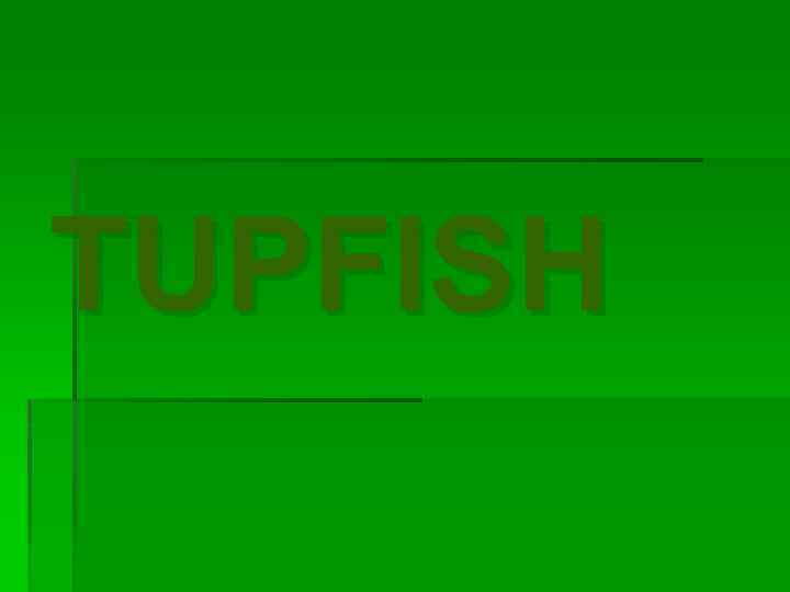 TUPFISH 