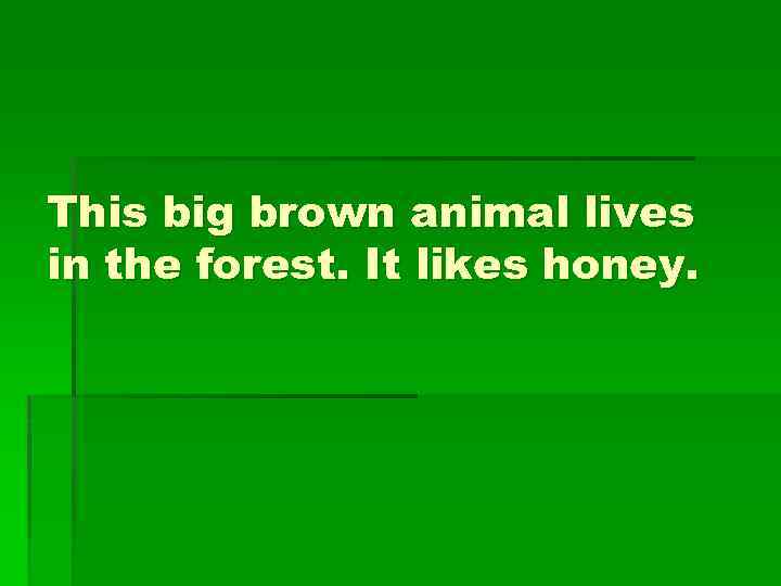 This big brown animal lives in the forest. It likes honey. 