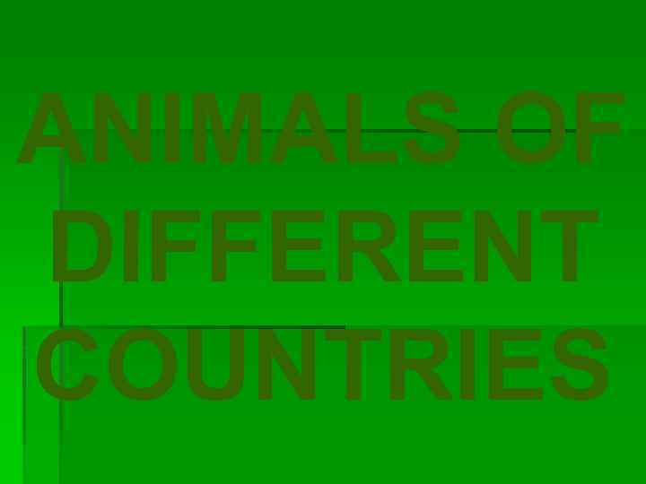ANIMALS OF DIFFERENT COUNTRIES 