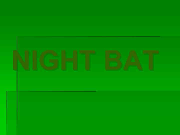 NIGHT BAT 