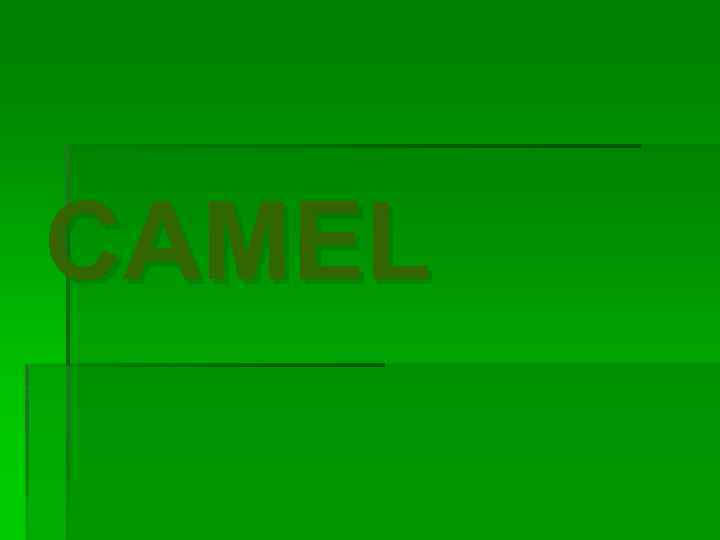 CAMEL 