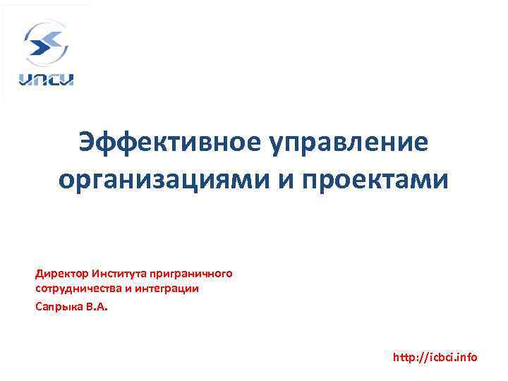 Эффективное управление организациями и проектами Директор Института приграничного сотрудничества и интеграции Сапрыка В. А.