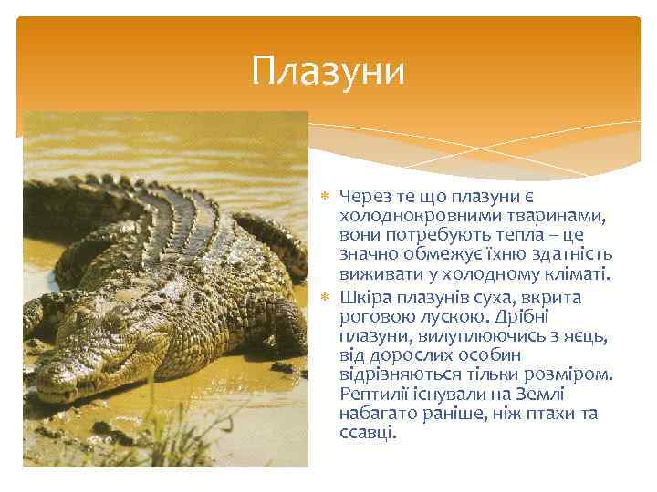 Плазуни Через те що плазуни є холоднокровними тваринами, вони потребують тепла -- це значно