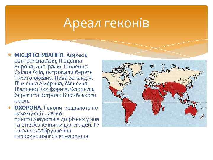 Ареал геконів МІСЦЯ ІСНУВАННЯ. Африка, центральна Азія, Південна Європа, Австралія, Південно. Східна Азія, острова