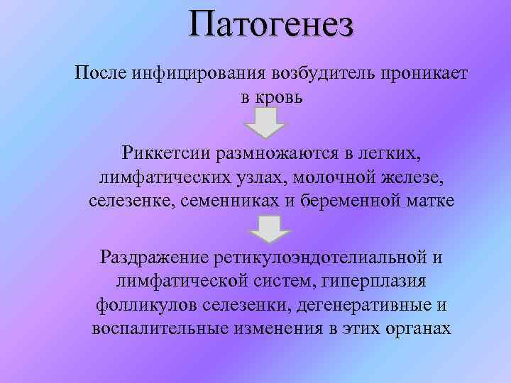 Патогенез После инфицирования возбудитель проникает в кровь Риккетсии размножаются в легких, лимфатических узлах, молочной