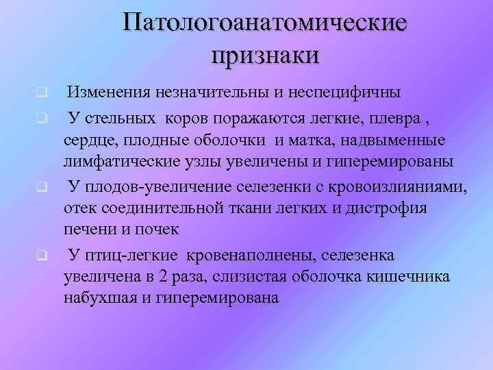 Патологоанатомические признаки Изменения незначительны и неспецифичны q У стельных коров поражаются легкие, плевра ,