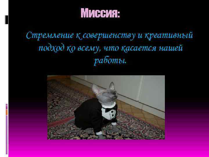 Миссия: Стремление к совершенству и креативный подход ко всему, что касается нашей работы. 