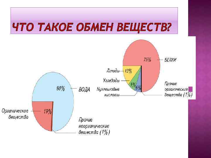 ЧТО ТАКОЕ ОБМЕН ВЕЩЕСТВ? 