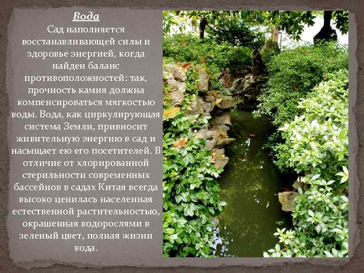 Вода Сад наполняется восстанавливающей силы и здоровье энергией, когда найден баланс противоположностей: так, прочность