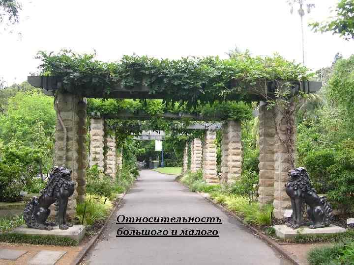 Относительность большого и малого 