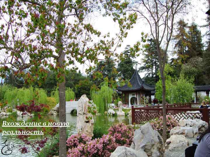 Вхождение в новую реальность 