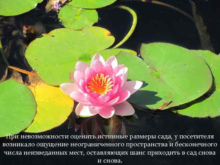 При невозможности оценить истинные размеры сада, у посетителя возникало ощущение неограниченного пространства и бесконечного