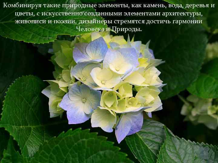 Комбинируя такие природные элементы, как камень, вода, деревья и цветы, с искусственно созданными элементами